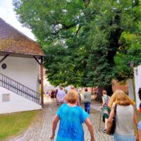 10. Zlatokorunská pouť 2024