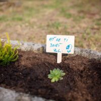 15. Loučení s prázdninami ve Dvoře Naděje v Zátoni
