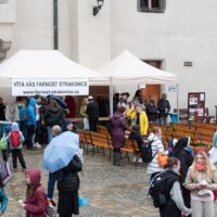 4. Diecézní pouť ve Strakonicích