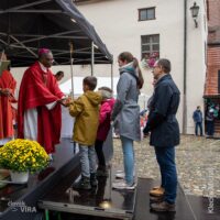 17. Diecézní pouť ve Strakonicích