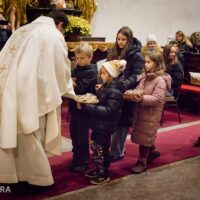 11. Svatomartinské setkání v Třeboni