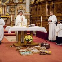 12. Svatomartinské setkání v Třeboni