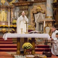 13. Svatomartinské setkání v Třeboni