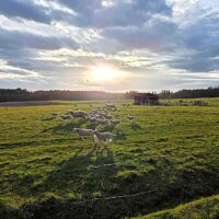 3. Extrémní Křížová Cesta 2025