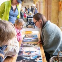 15. Č. BUDĚJOVICE: FamilyFest 2025