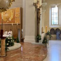 3. Diecéze přivítala relikvii bl. Carla Acutise