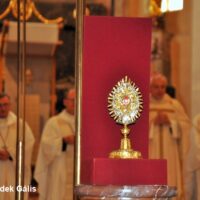 13. Diecéze přivítala relikvii bl. Carla Acutise