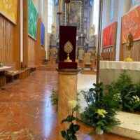 28. Diecéze přivítala relikvii bl. Carla Acutise