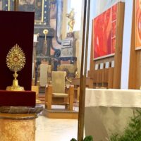 29. Diecéze přivítala relikvii bl. Carla Acutise