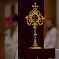 7. Poutní slavnost v českobudějovické katedrále