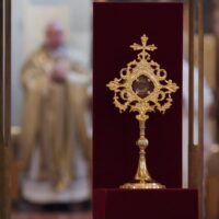 Poutní slavnost v českobudějovické katedrále