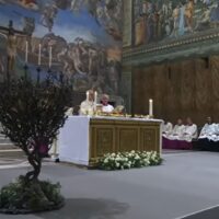 2. Bohoslovci z Nepomucena se Svatým otcem