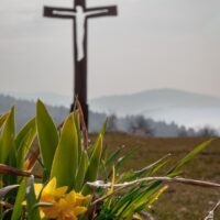 31. Restart na DCŽM Ktiš