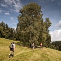 Poutní stezka spojující kláštery Wilhering a Vyšší Brod slavnostně otevřena